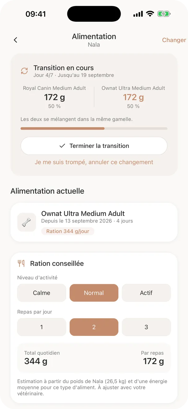 La transition alimentaire dans Meddor, en grammes, jour par jour